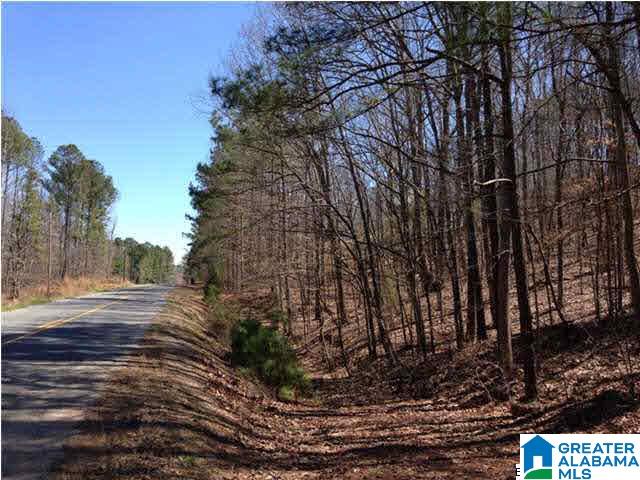 0 Woolfolk Road, Unit 3 ACRES Munford, AL 36268 - Photo 13 of 24