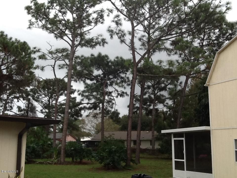 1610 Paragon Road Southeast Palm Bay, FL 32909 - Photo 78 of 85 Treed Backyard