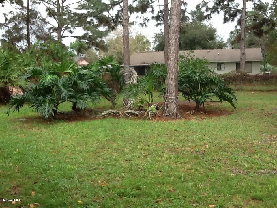 1610 Paragon Road Southeast Palm Bay, FL 32909 - Photo 82 of 85 Over-sized Backyard