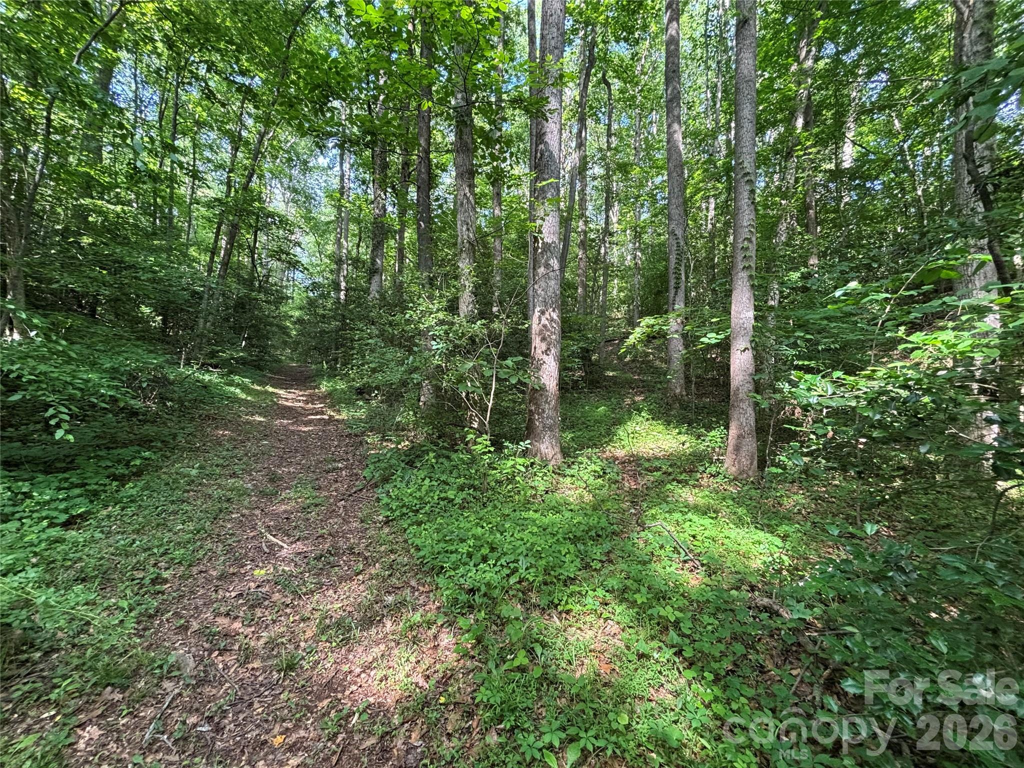 0 Goat Road Catawba, NC 28609 - Photo 8 of 10 a view of outdoor space and green space