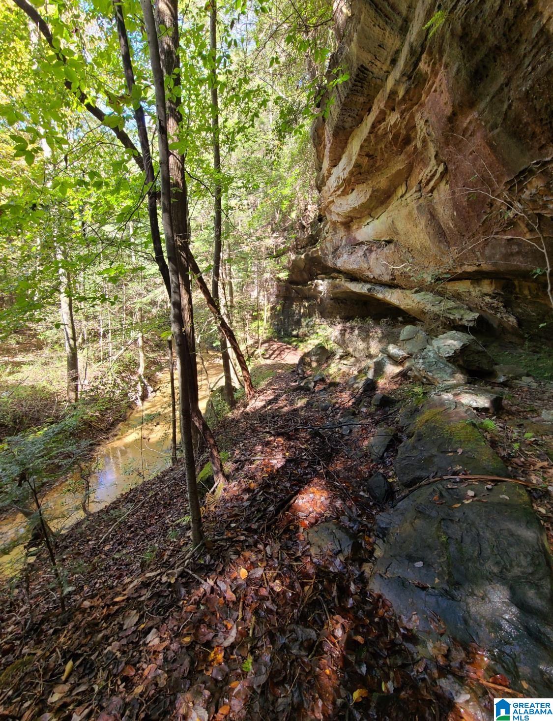 2 County Road 2, Unit 50 / ACRES Double Springs, AL 35553 - Photo 74 of 79
