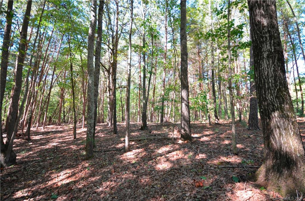8921 Island Point Road, Unit 125 Charlotte, NC 28278 - Photo 5 of 22 Gallery Image 5