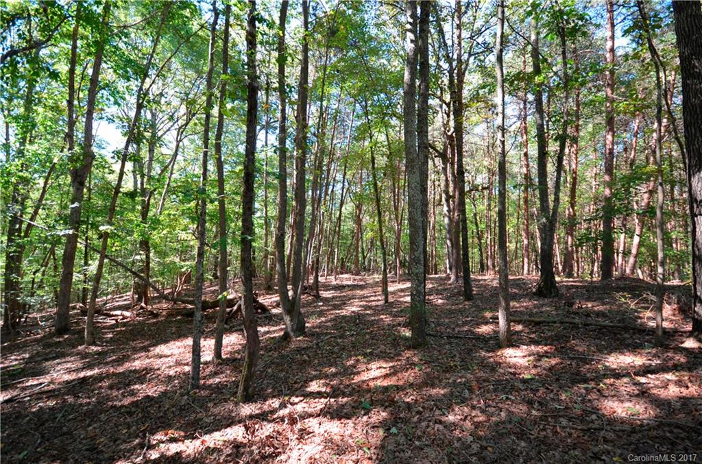 8921 Island Point Road, Unit 125 Charlotte, NC 28278 - Photo 6 of 22 Gallery Image 6
