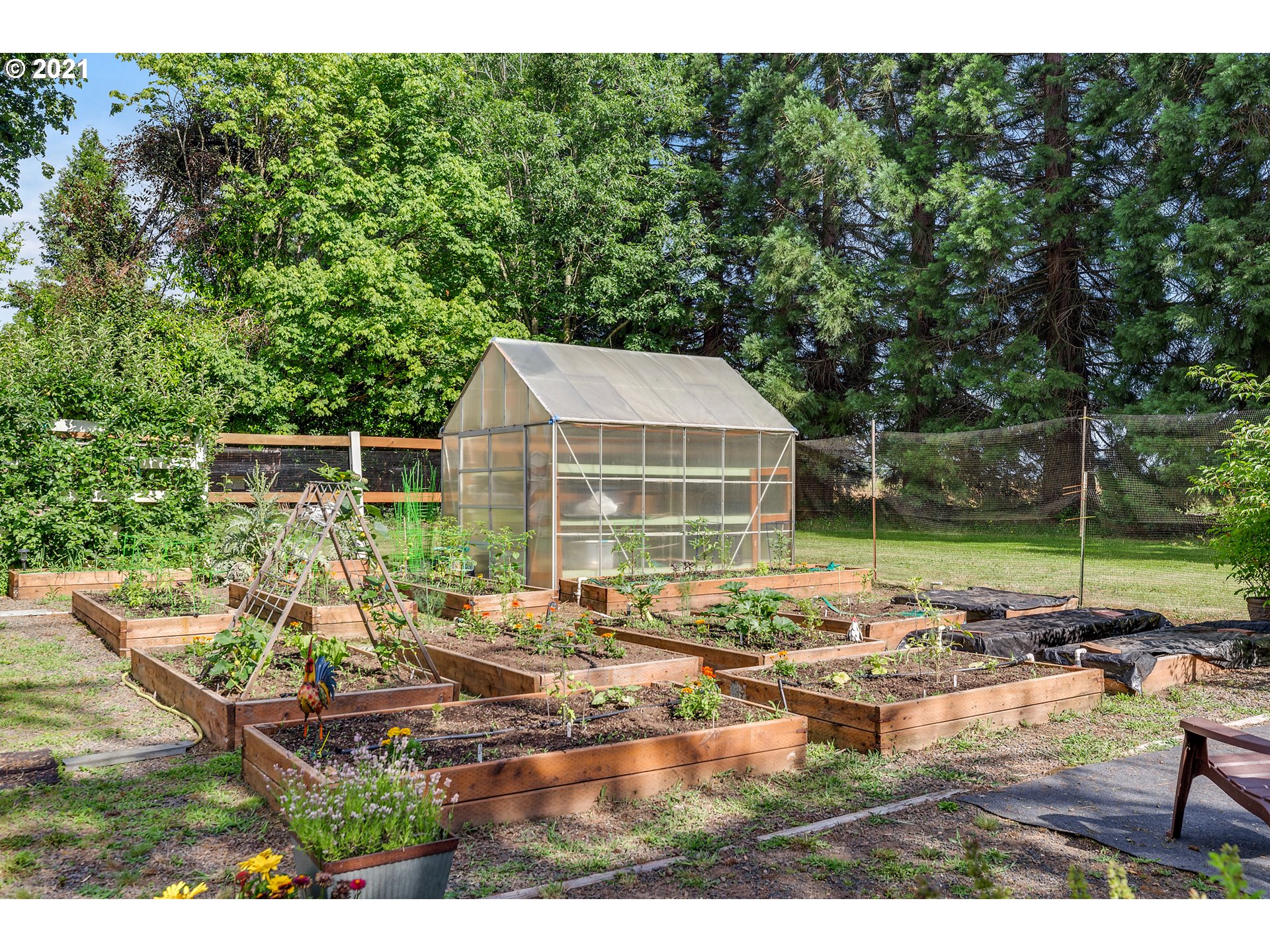 13870 Murray Road Northeast Aurora, OR 97002 - Photo 14 of 32 Gallery Image 14