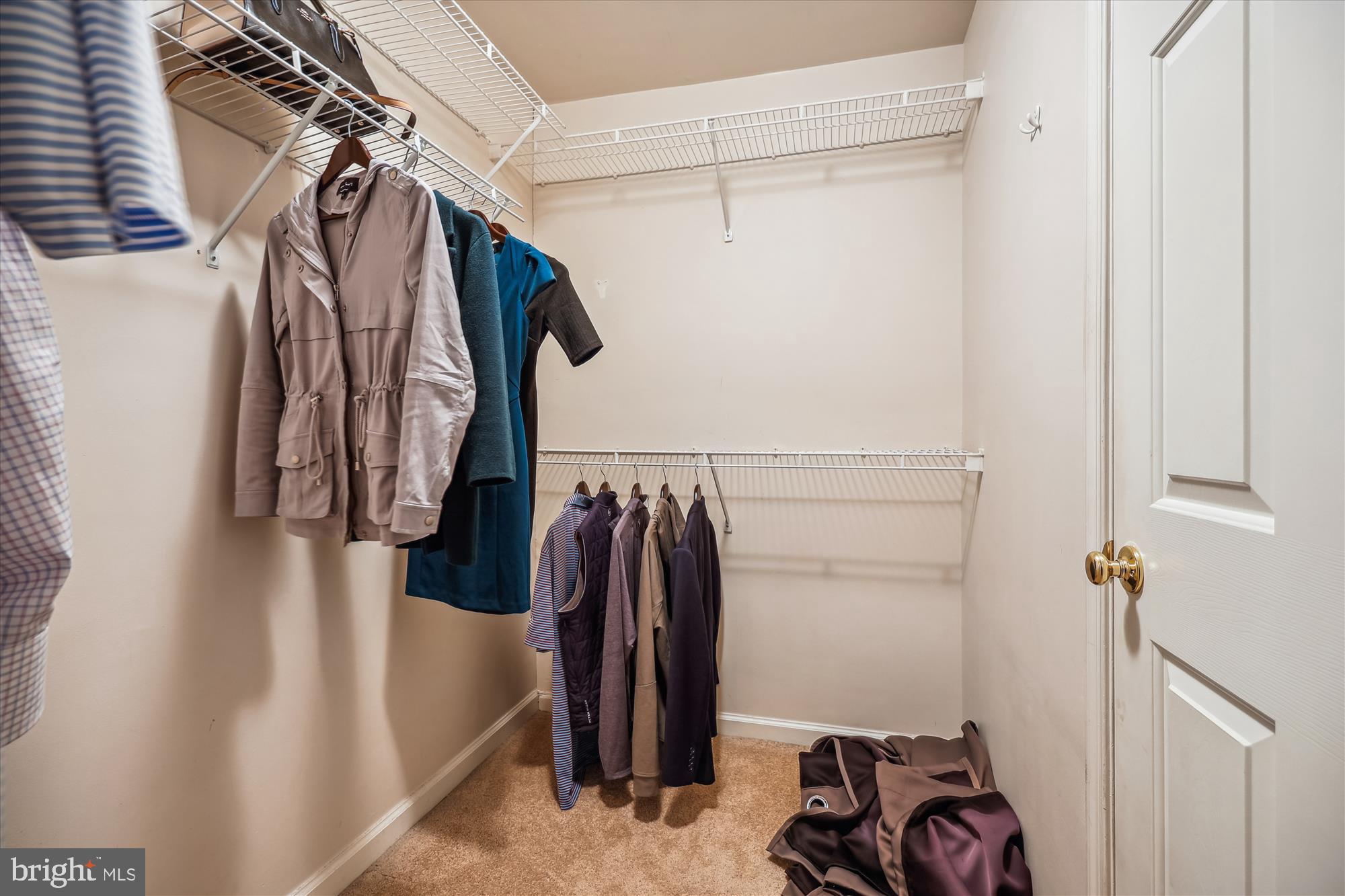 4641 Ripley Manor Terrace Olney, MD 20832 - Photo 38 of 53 Primary walk-in closet