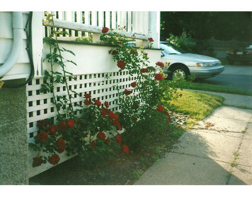 35 Lowell Road Winthrop, MA 02152 - Photo 26 of 27 Gallery Image 26