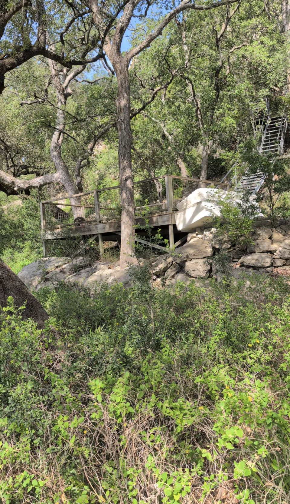1909 Performer Road Spicewood, TX 78669 - Photo 5 of 19 a view of outdoor space and yard