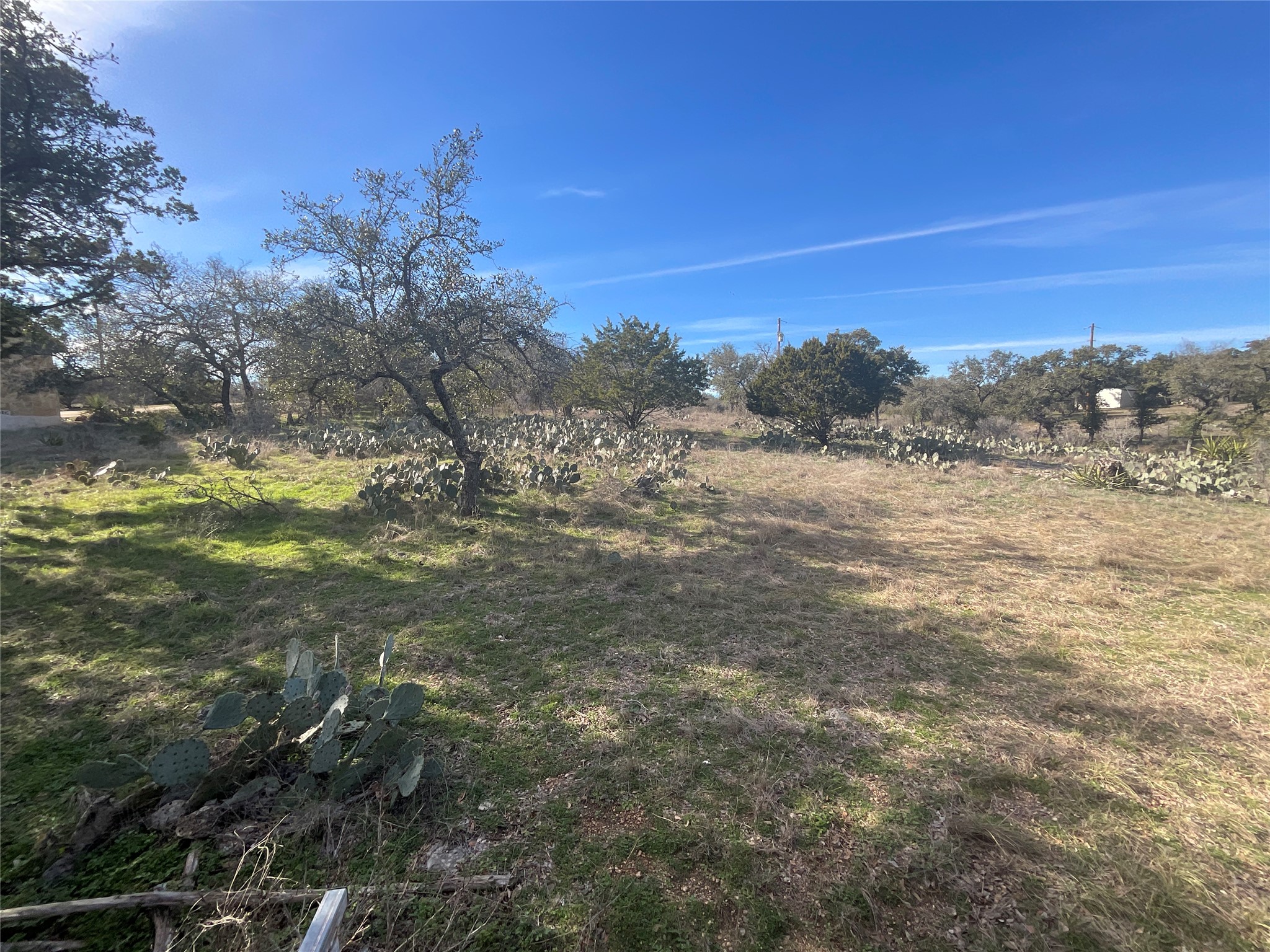 1909 Performer Road Spicewood, TX 78669 - Photo 9 of 19 a view of a field with an ocean