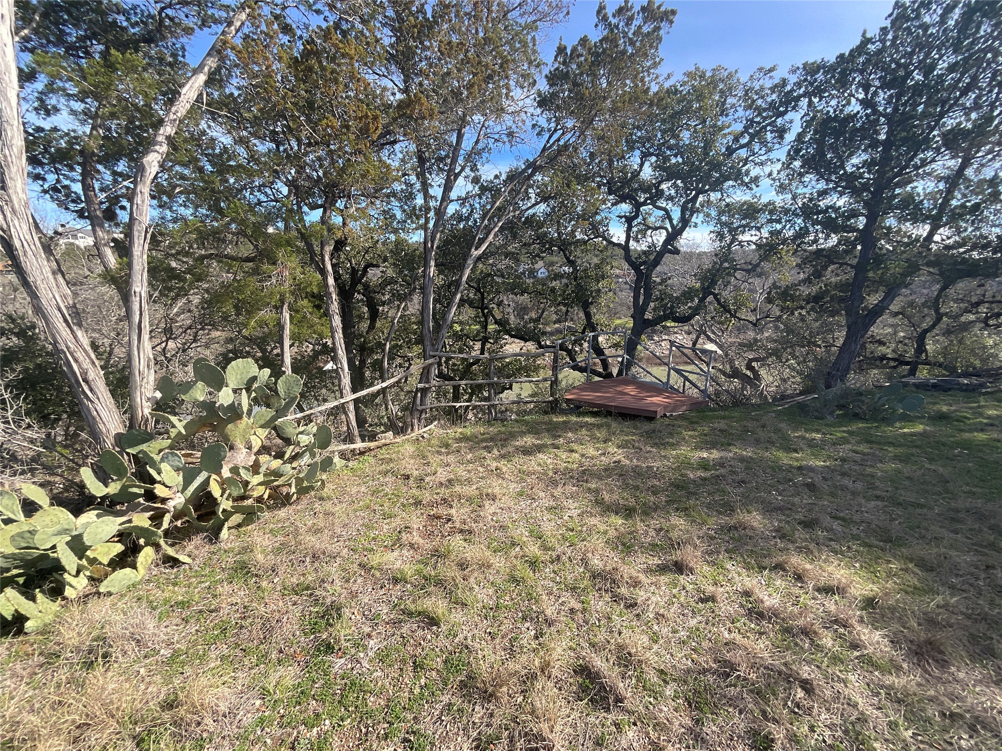1909 Performer Road Spicewood, TX 78669 - Photo 10 of 19 a view of statue in a yard