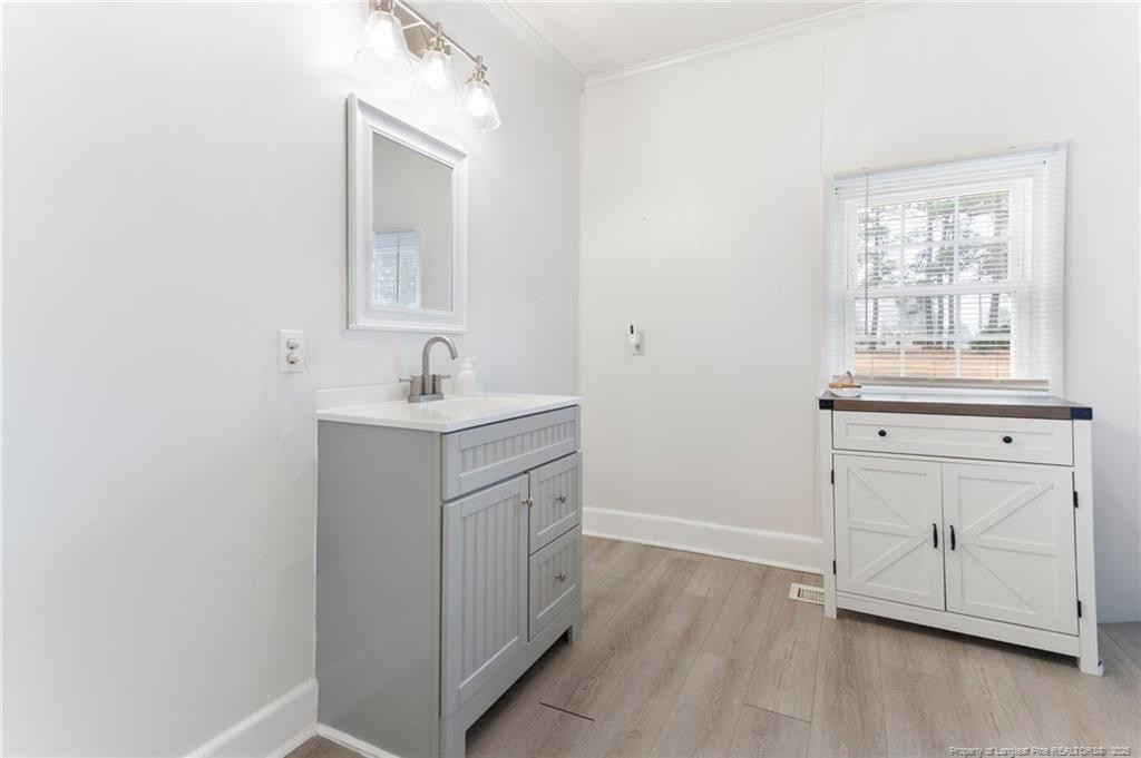 1069 Union Valley Road Whiteville, NC 28472 - Photo 18 of 50 a bathroom with a sink vanity and a mirror