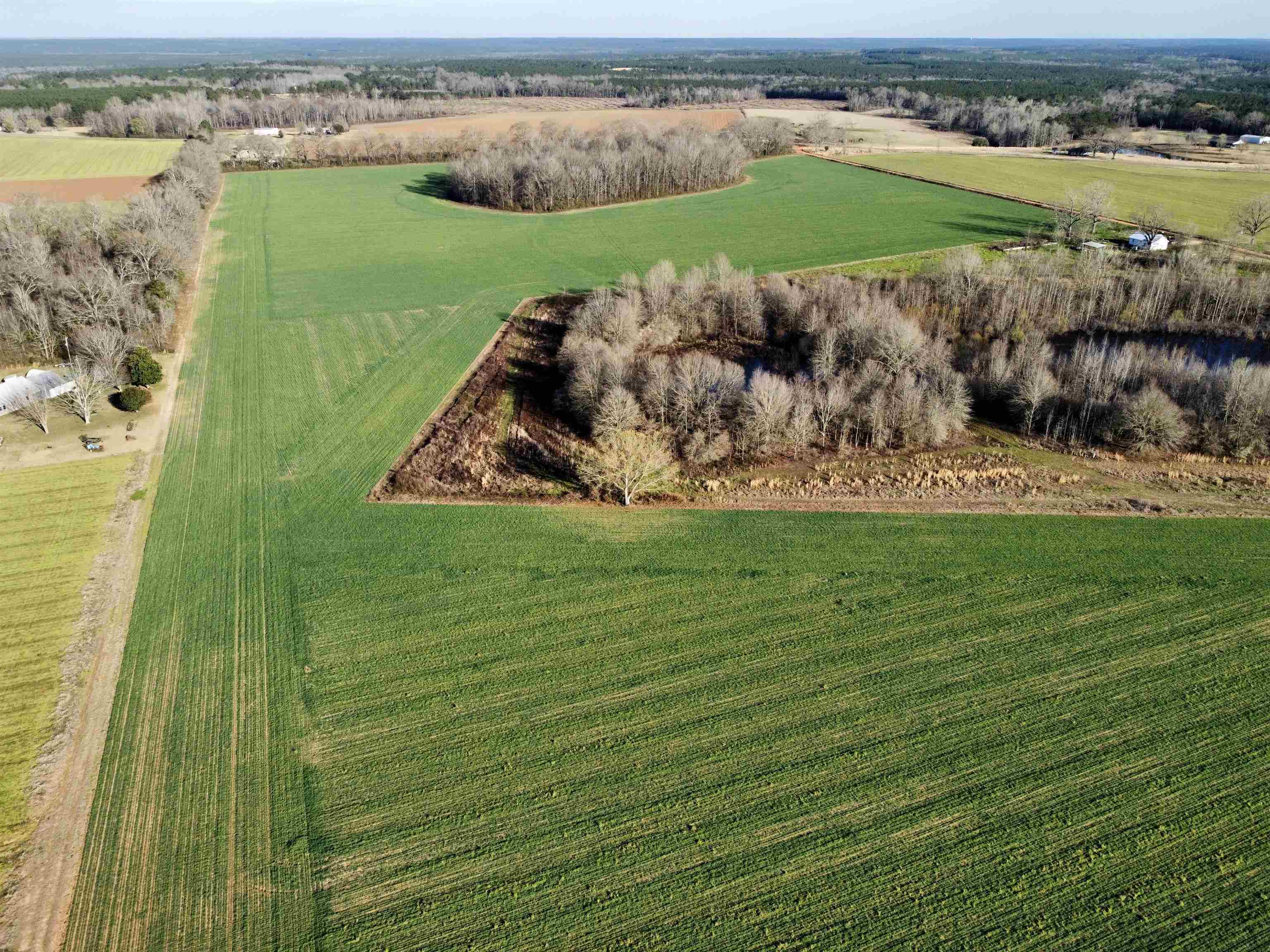 0 Country Road Atmore, AL 36502 - Photo 12 of 27