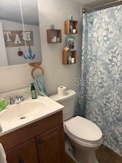 4405 Airport Road Plant City, FL 33563 - Photo 12 of 20 a bathroom with a sink a toilet and a mirror