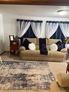 4405 Airport Road Plant City, FL 33563 - Photo 13 of 20 a living room with a couch