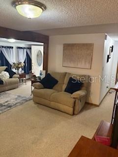 4405 Airport Road Plant City, FL 33563 - Photo 19 of 20 a living room with furniture