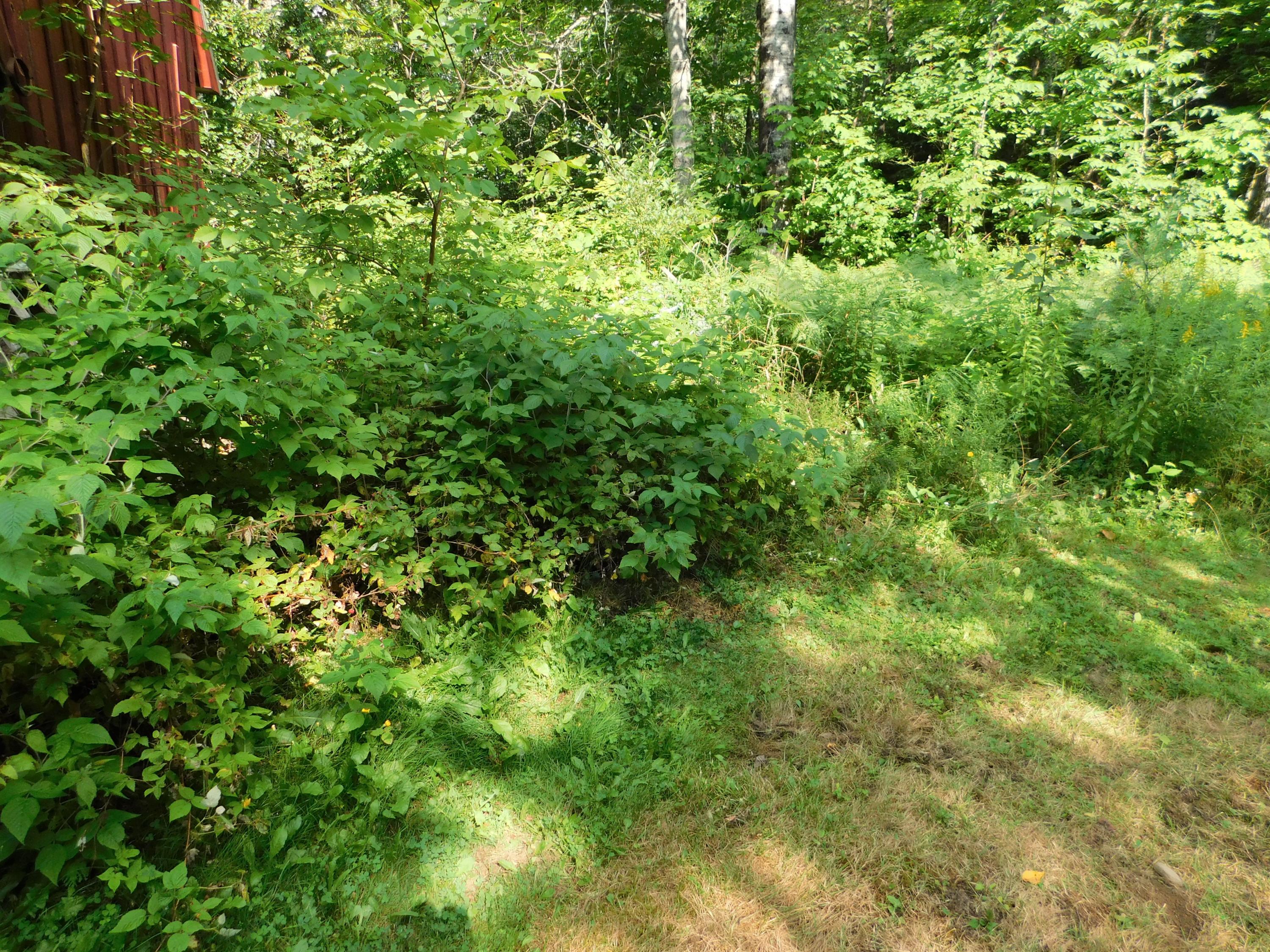 306 Line Road Corinna, ME 04928 - Photo 34 of 37 DSCN0878