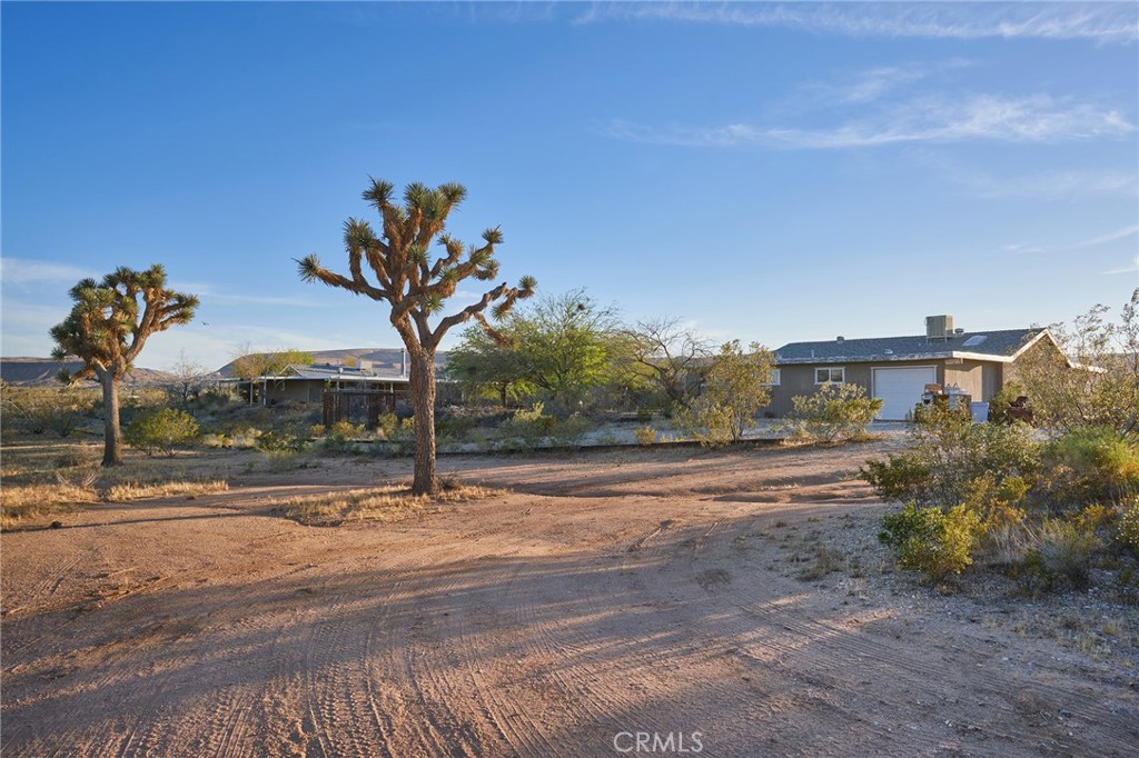 979 Old Woman Springs Road Yucca Valley, CA 92284 - Photo 53 of 58