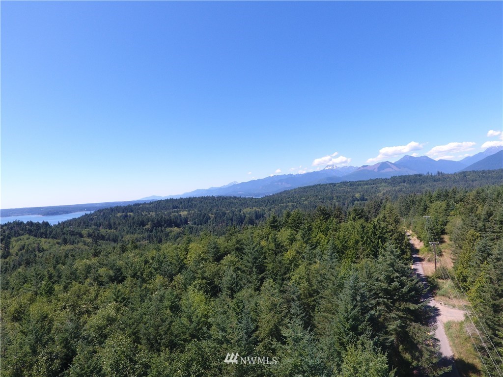 724 Hazel Point Road Quilcene, WA 98376 - Photo 3 of 8 Gallery Image 3
