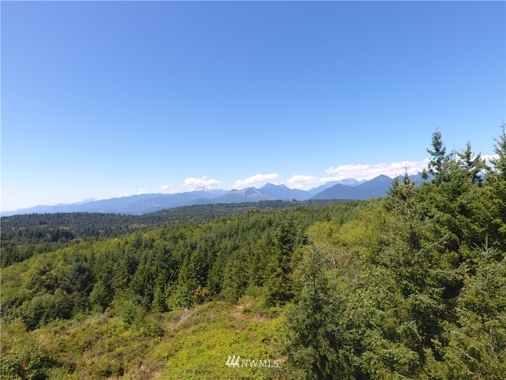 724 Hazel Point Road Quilcene, WA 98376 - Photo 4 of 8 Gallery Image 4
