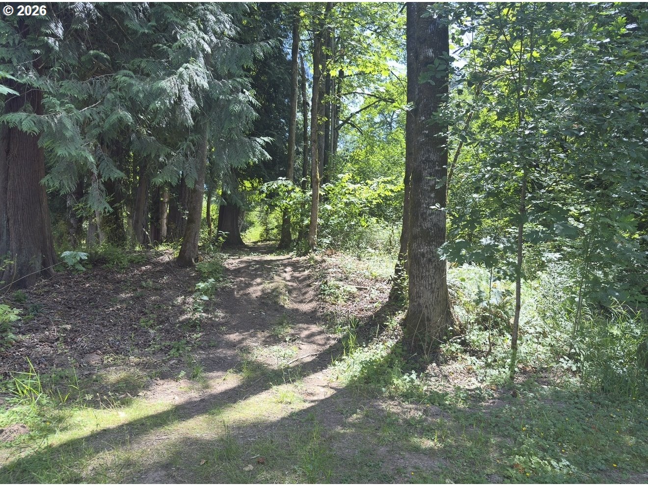 31616 Southeast Pipeline Road Gresham, OR 97080 - Photo 47 of 48