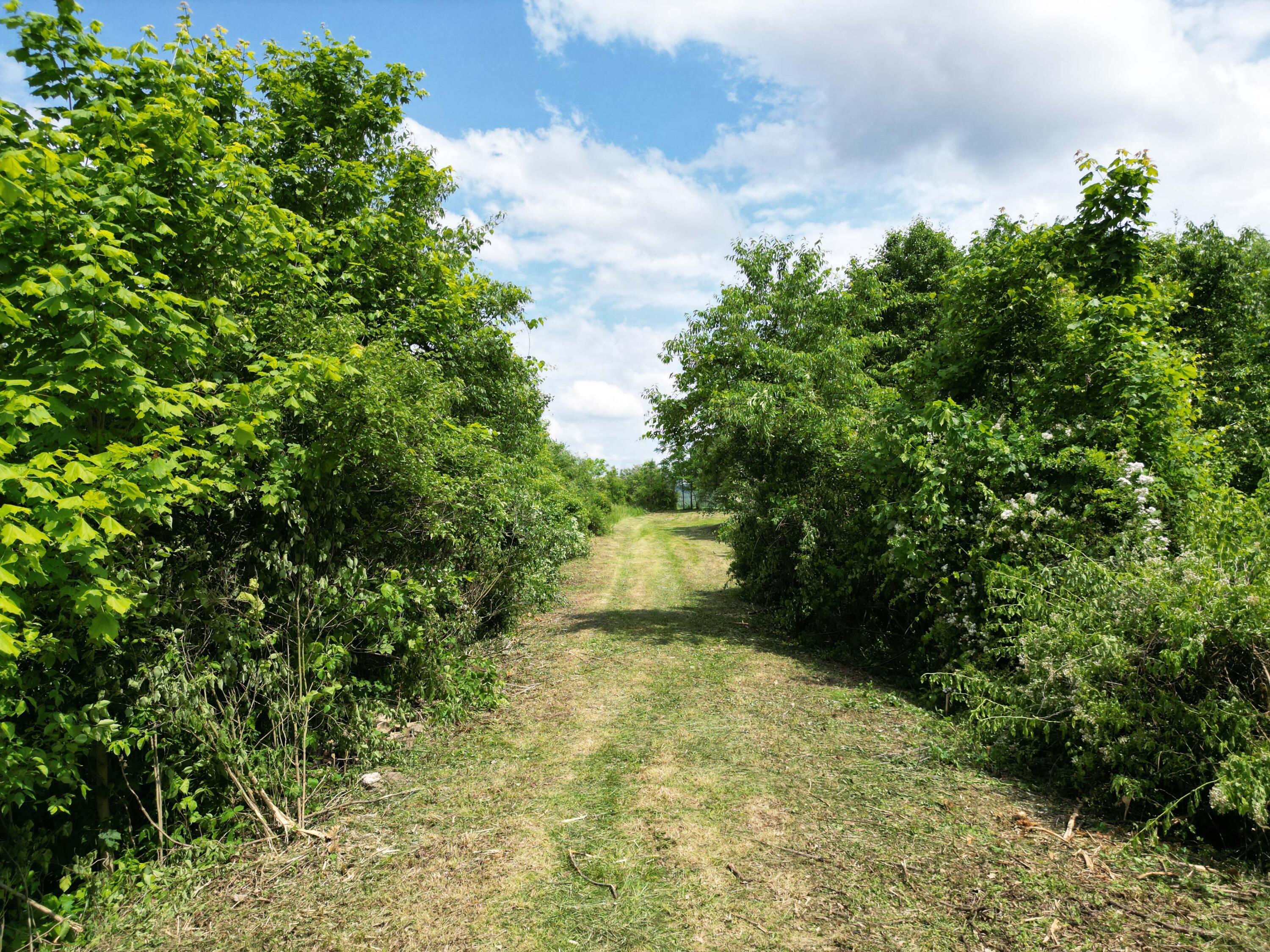 0 Schoolhouse Road Frazeysburg, OH 43822 - Photo 15 of 31 DJI_0575