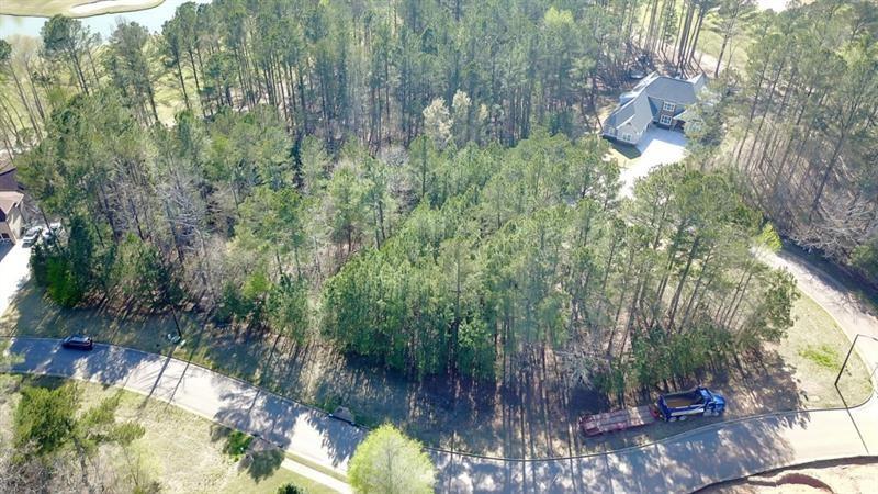 282 Manchester Lane Villa Rica, GA 30180 - Photo 3 of 15 a picture of trees and bushes