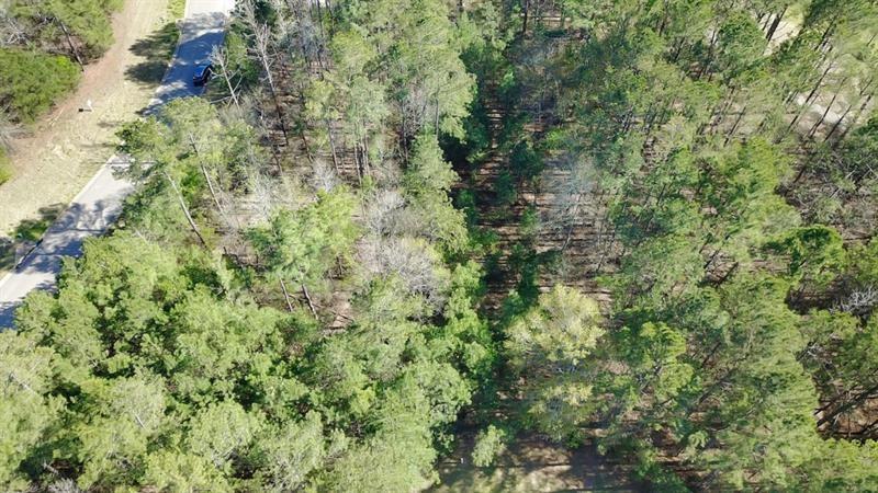 282 Manchester Lane Villa Rica, GA 30180 - Photo 9 of 15 a view of a forest with a tree