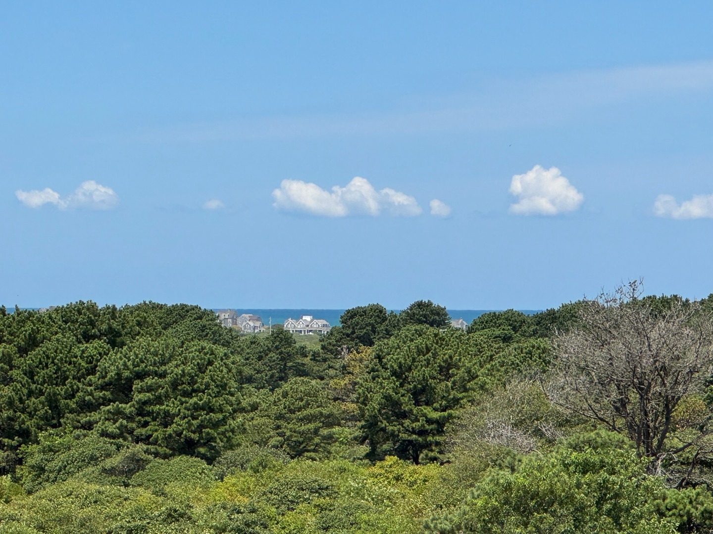 160 Madaket Road Nantucket, MA 02554 - Photo 55 of 58