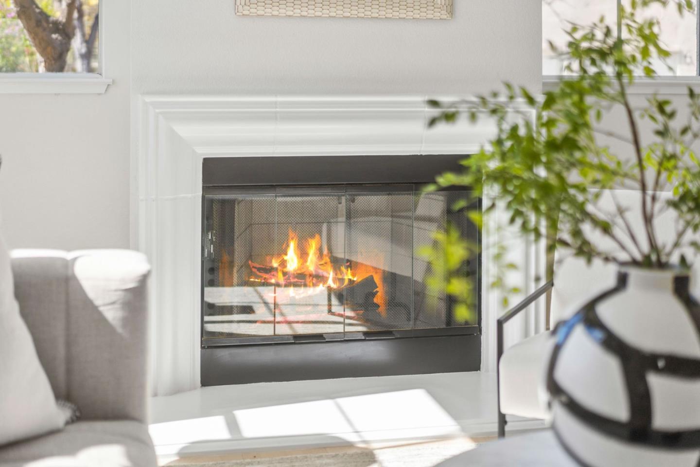 107 Beacon Street Mountain View, CA 94040 - Photo 2 of 55 a living room with a couch and a potted plant