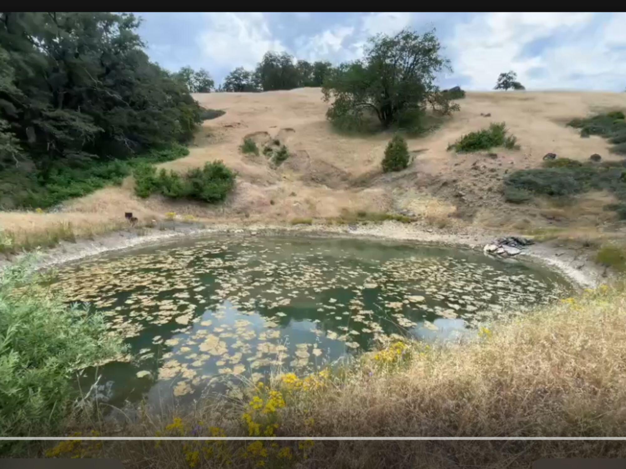 46 Burr Valley Road Bridgeville, CA 95526 - Photo 13 of 23 Gallery Image 13