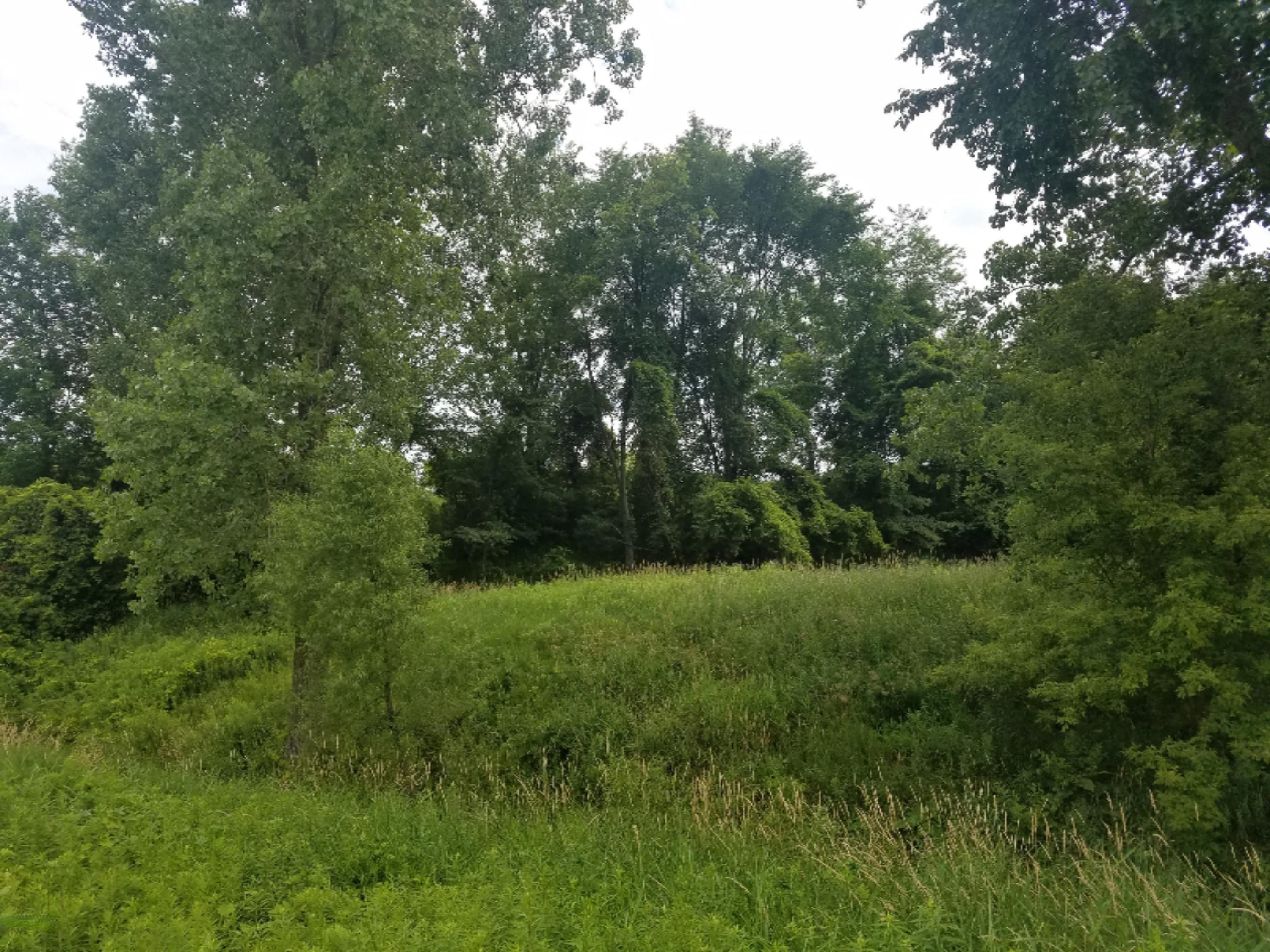 12857 5 Mile Road Northeast Belding, MI 48809 - Photo 5 of 5 5 mile 4