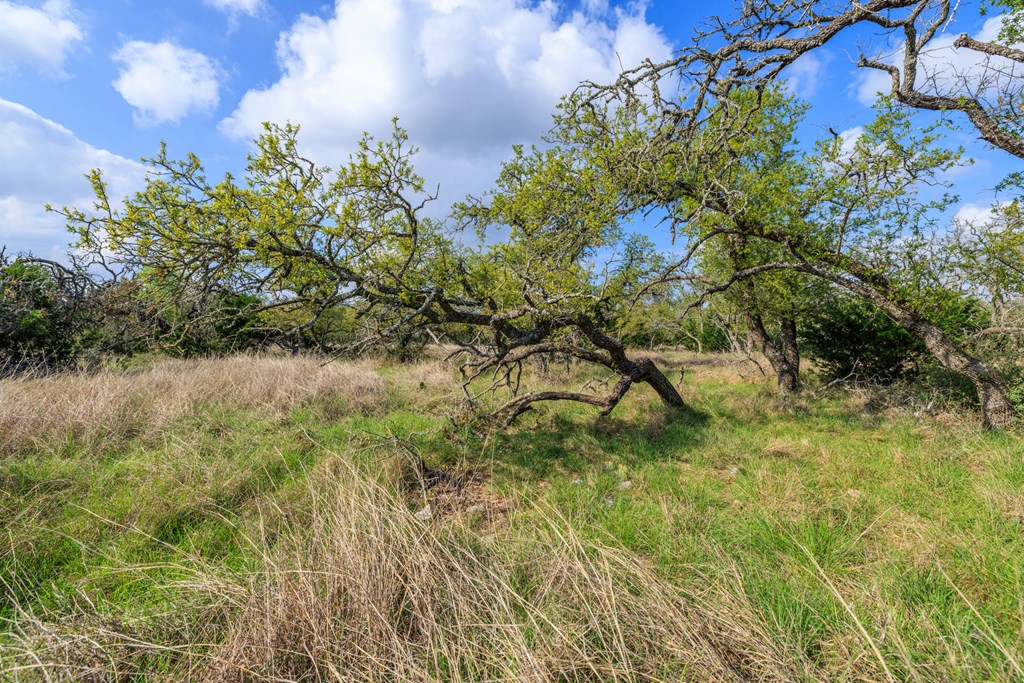 7 Duderstadt Road, Unit 7 Harper, TX 78631 - Photo 5 of 10 a view of a yard