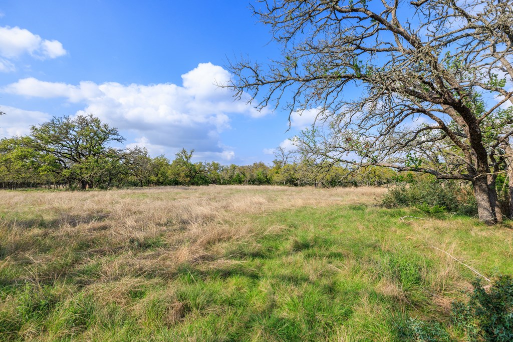 7 Duderstadt Road, Unit 7 Harper, TX 78631 - Photo 6 of 10