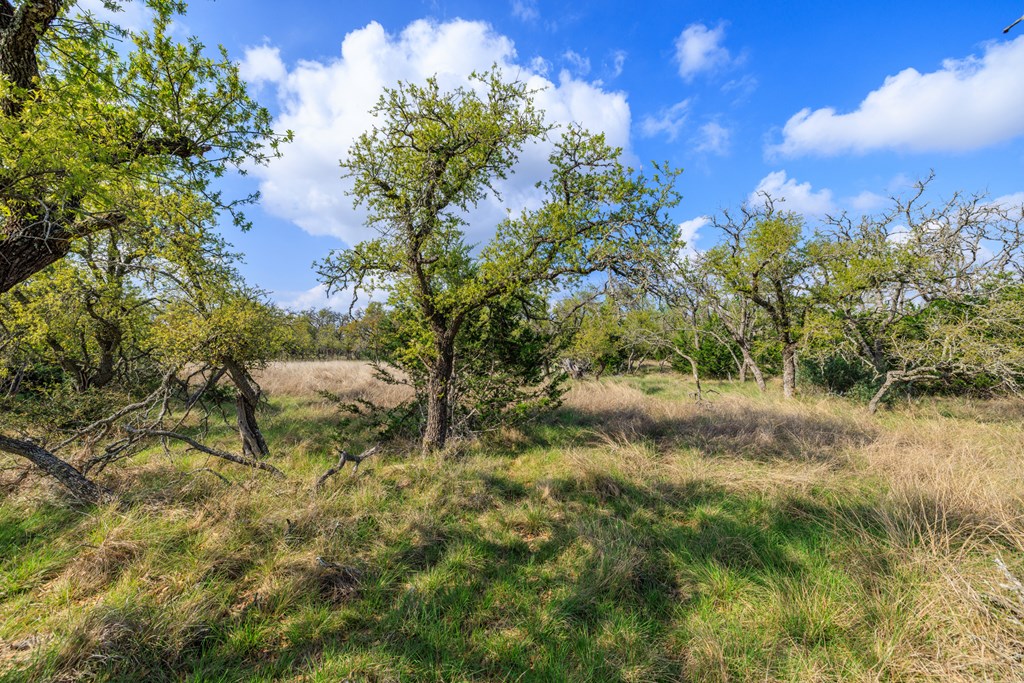 7 Duderstadt Road, Unit 7 Harper, TX 78631 - Photo 7 of 10 a view of a yard with a tree