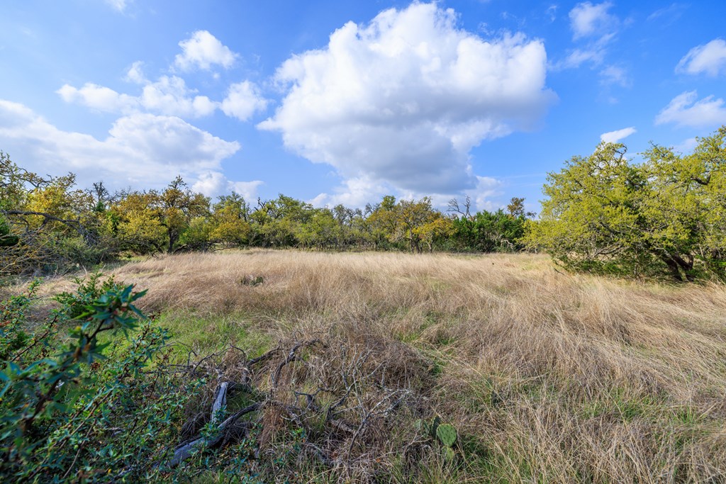 7 Duderstadt Road, Unit 7 Harper, TX 78631 - Photo 8 of 10 a view of a lake with houses in the back