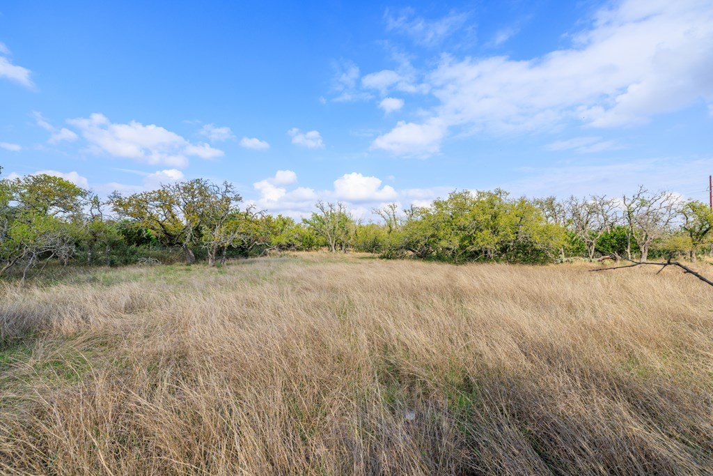 7 Duderstadt Road, Unit 7 Harper, TX 78631 - Photo 9 of 10 a view of lake and mountain view