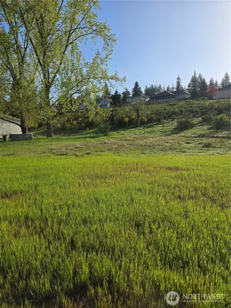 a view of a field with trees around