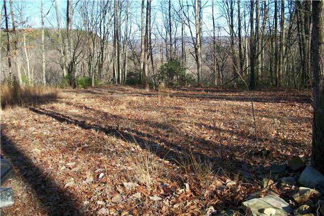 0 Tate Road Sewanee, TN 37375 - Photo 3 of 3 Cleared building site close to bluff and close enough to neighbor's creek to enjoy sound of waterfall.