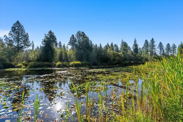 $734,900 | 182 Fern Lane, Cocolalla, ID 83813