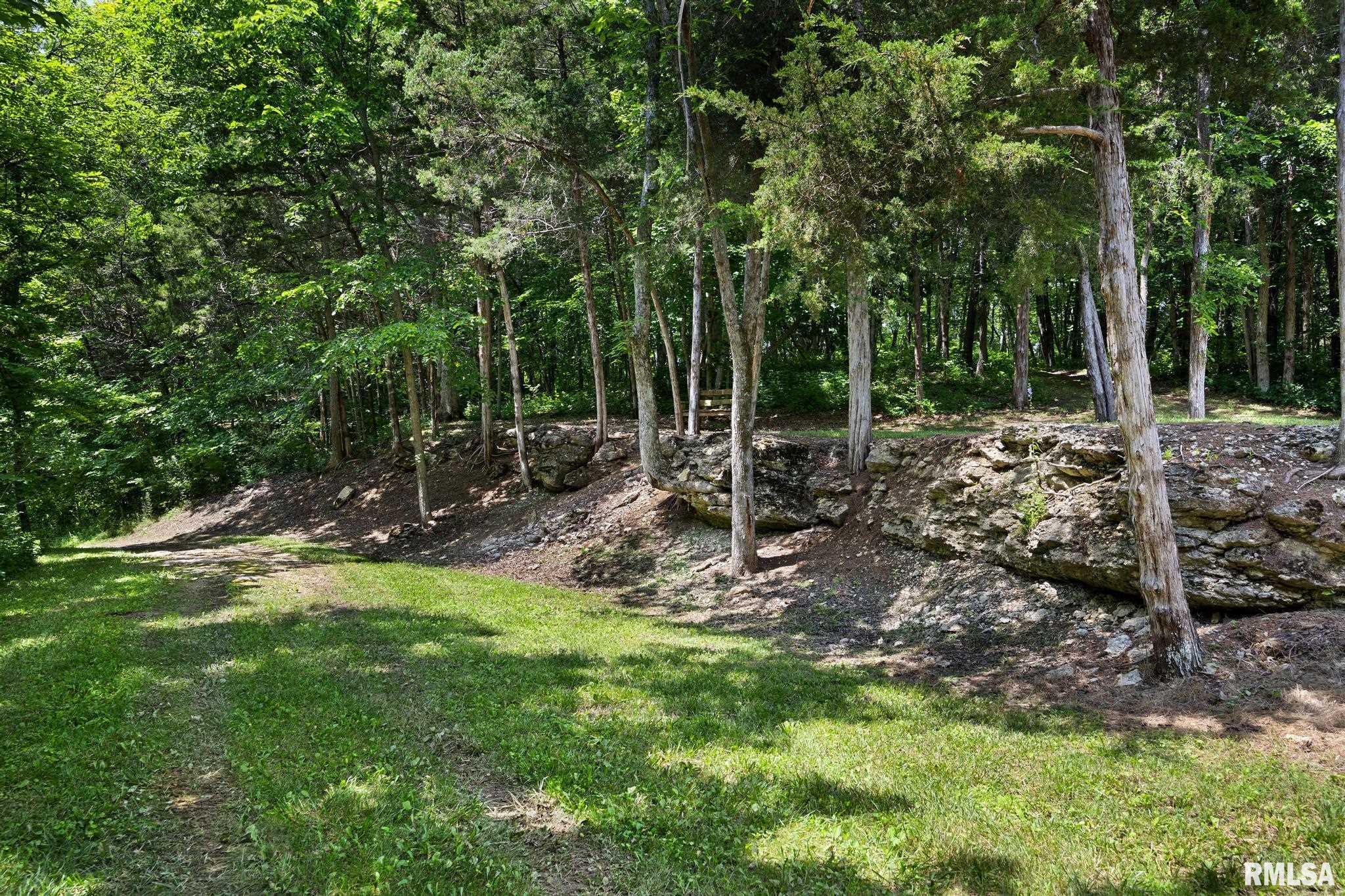0 North Stone School Road Elmwood, IL 61529 - Photo 57 of 90