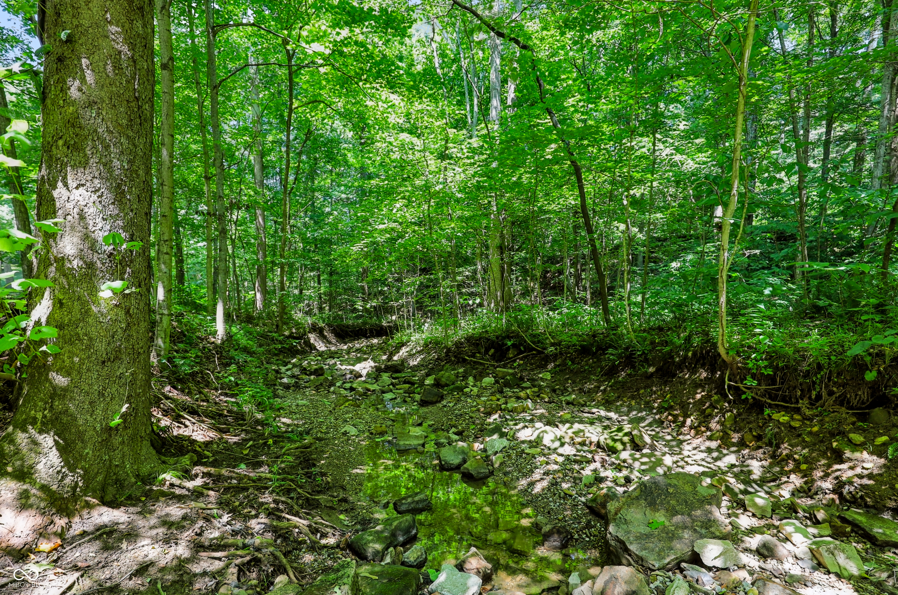 6400 Ruble Road Poland, IN 47868 - Photo 143 of 163