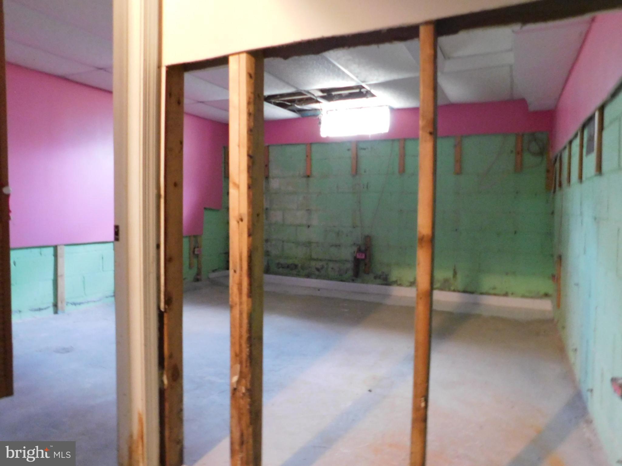 11807 Clearview Road Hagerstown, MD 21742 - Photo 11 of 18 Basement