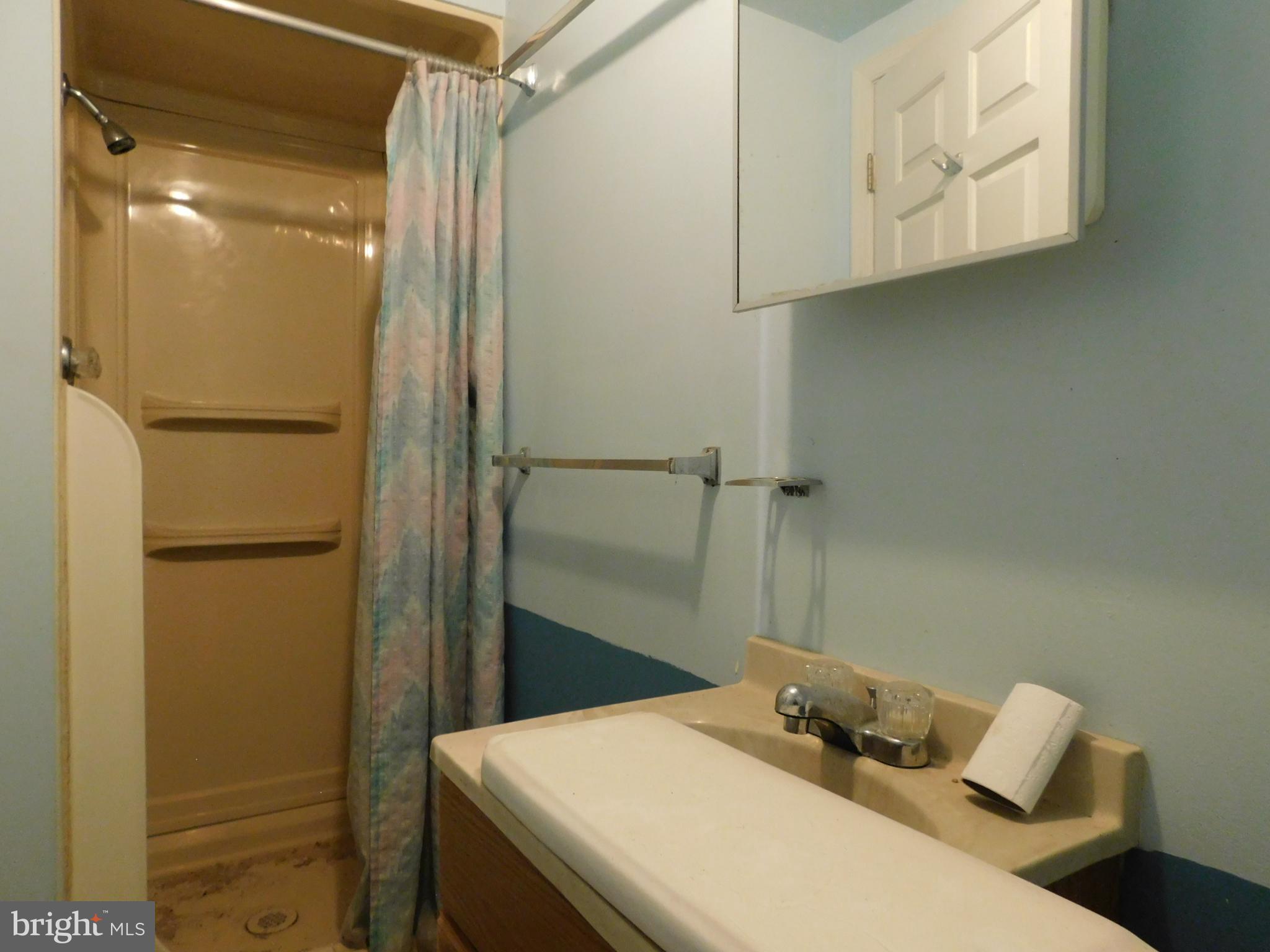 11807 Clearview Road Hagerstown, MD 21742 - Photo 8 of 18 Lower level bathroom