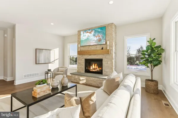 a living room with furniture a potted plant and a fireplace
