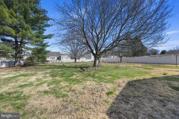 a view of a field with tree s