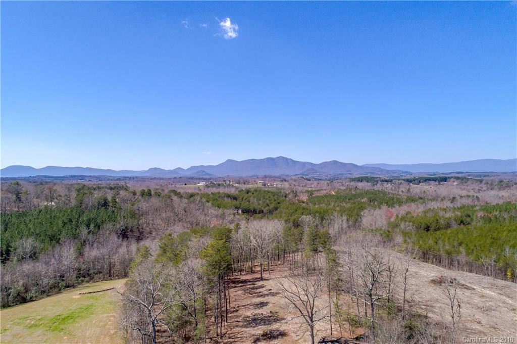 1085 Turner Road Tryon, NC 28782 - Photo 1 of 12