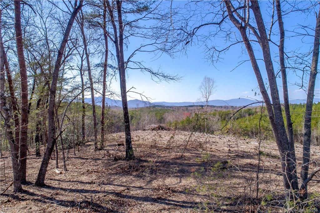 1085 Turner Road Tryon, NC 28782 - Photo 3 of 12