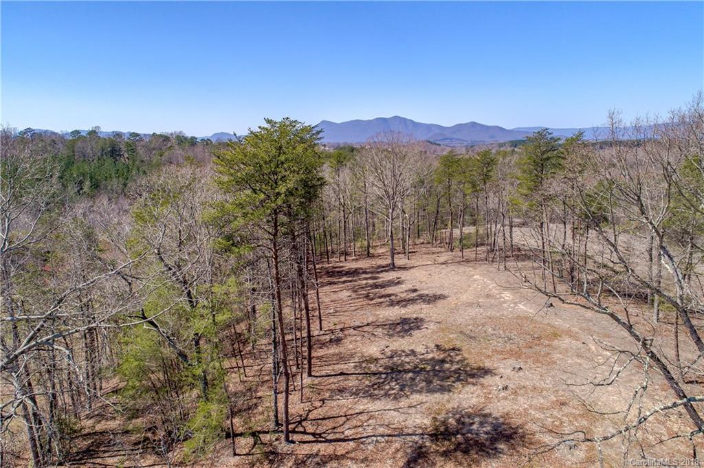 1085 Turner Road Tryon, NC 28782 - Photo 5 of 12