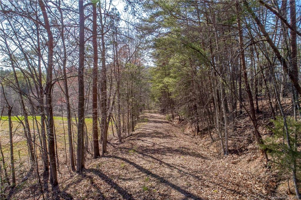 1085 Turner Road Tryon, NC 28782 - Photo 8 of 12