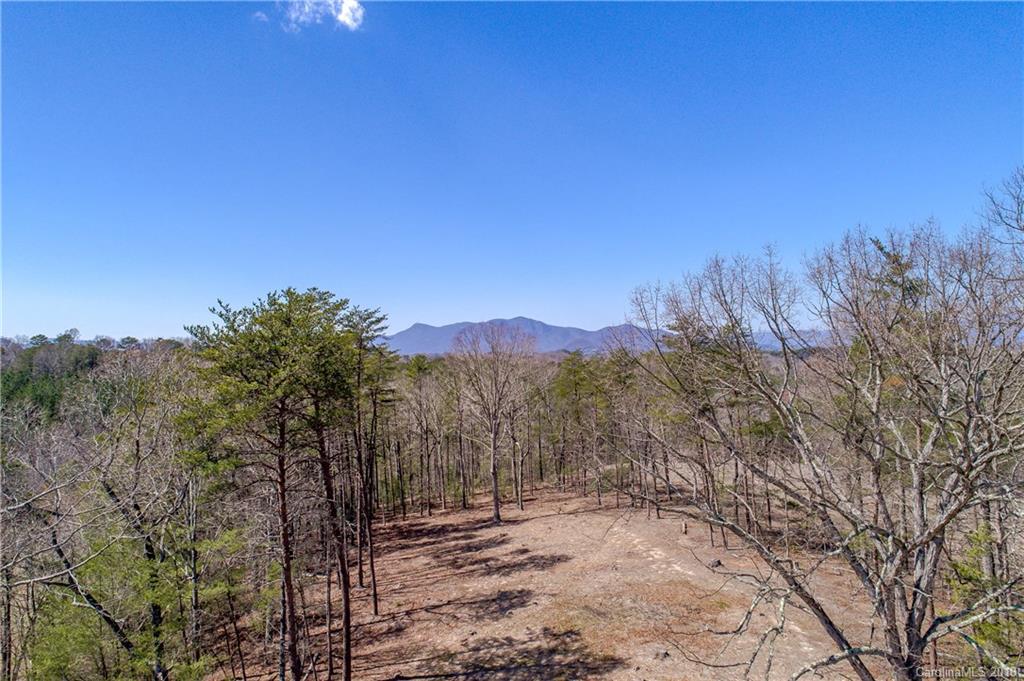 1085 Turner Road Tryon, NC 28782 - Photo 10 of 12