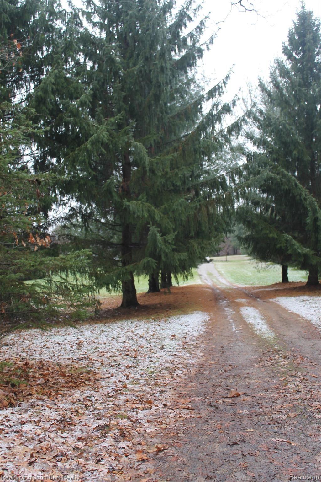 13235 Rohn Road Fenton, MI 48430 - Photo 54 of 80 IMG_9695.jpg